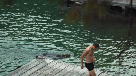 german shepherd swimming in lake while topless man climbs out onto dock