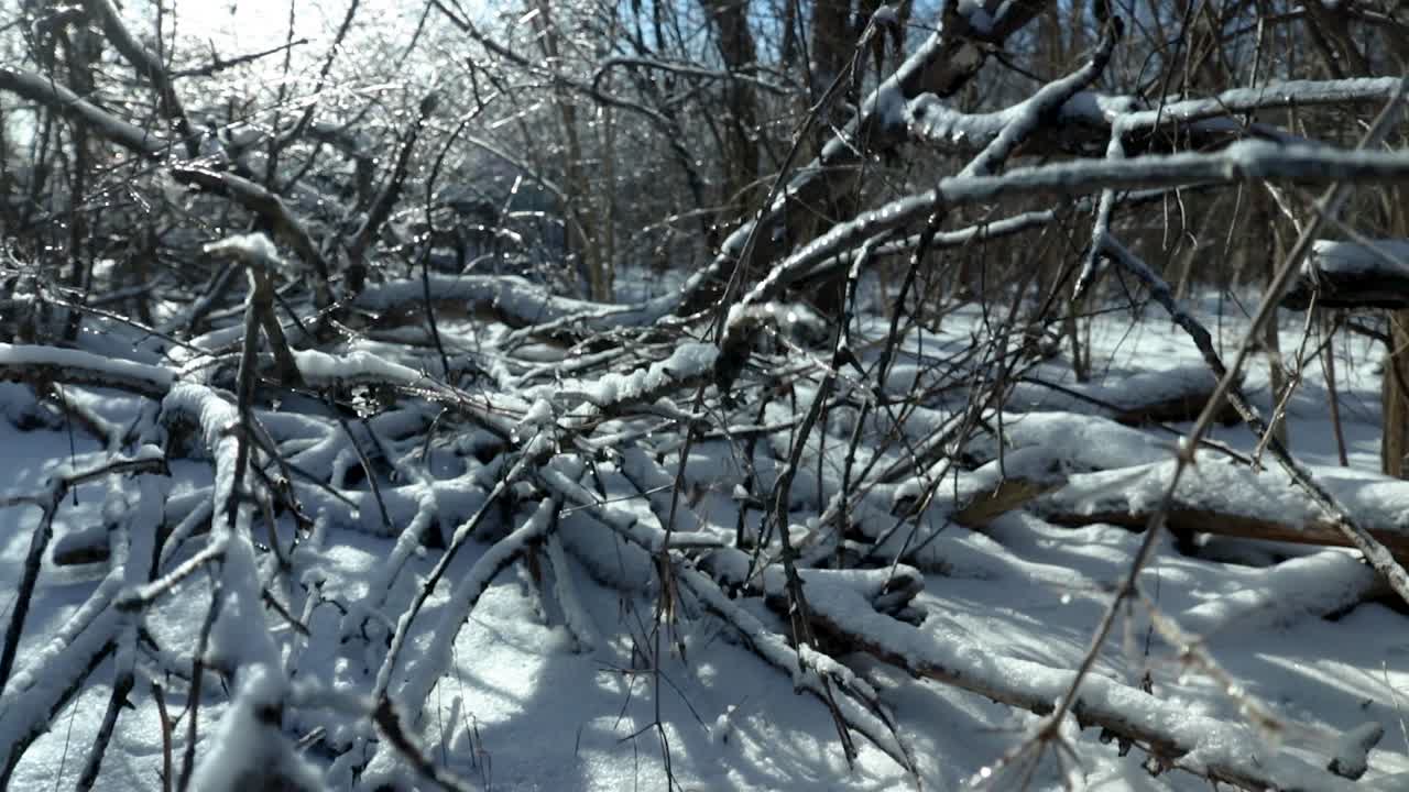 Nahaufnahme von gebündelten und abgebrochenen, eis- und schneebedeckten Ästen auf Waldboden.
