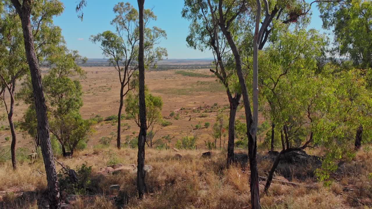Landmand på en tør bakke ved MacKenzie River, Queensland, Australien