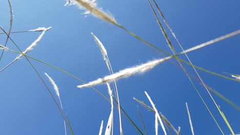 산들바람에 움직이는 랄랑이 있는 푸른 하늘