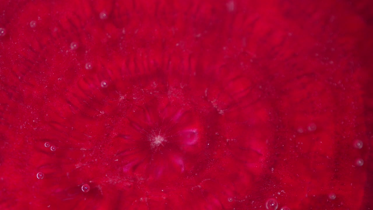 신선한 비트는 공기 거품이 있는 물에 넣습니다.