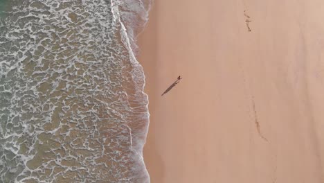 lonely person walks alone on golden beach at porto santo island, portugal