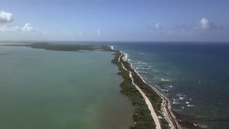 aerial: narrow road with palmtrees in tropical place