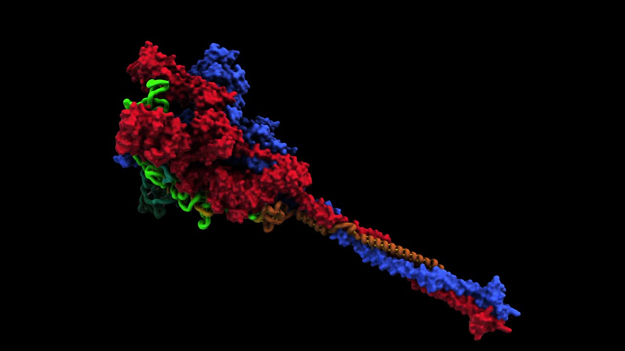 SARS-CoV-2 Spike protein-diagonal rotation loop