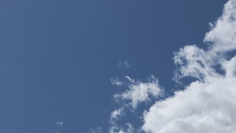 70mm-drone-footage-of-a-vulture's-majestic-flight-with-a-blue-sky-background-and-a-white-cloud-lingering-in-the-corner-of-the-footage