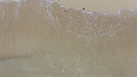 Beautiful-4K-tropical-beach-aerial-footage