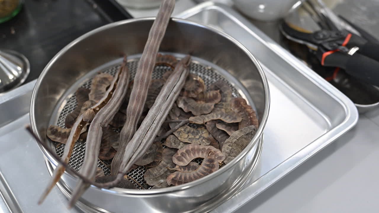 Preserved plants inside the Plant Preservation Lab in the UAE