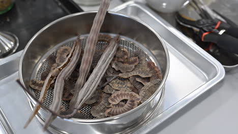 preserved plants inside the plant preservation lab in the uae