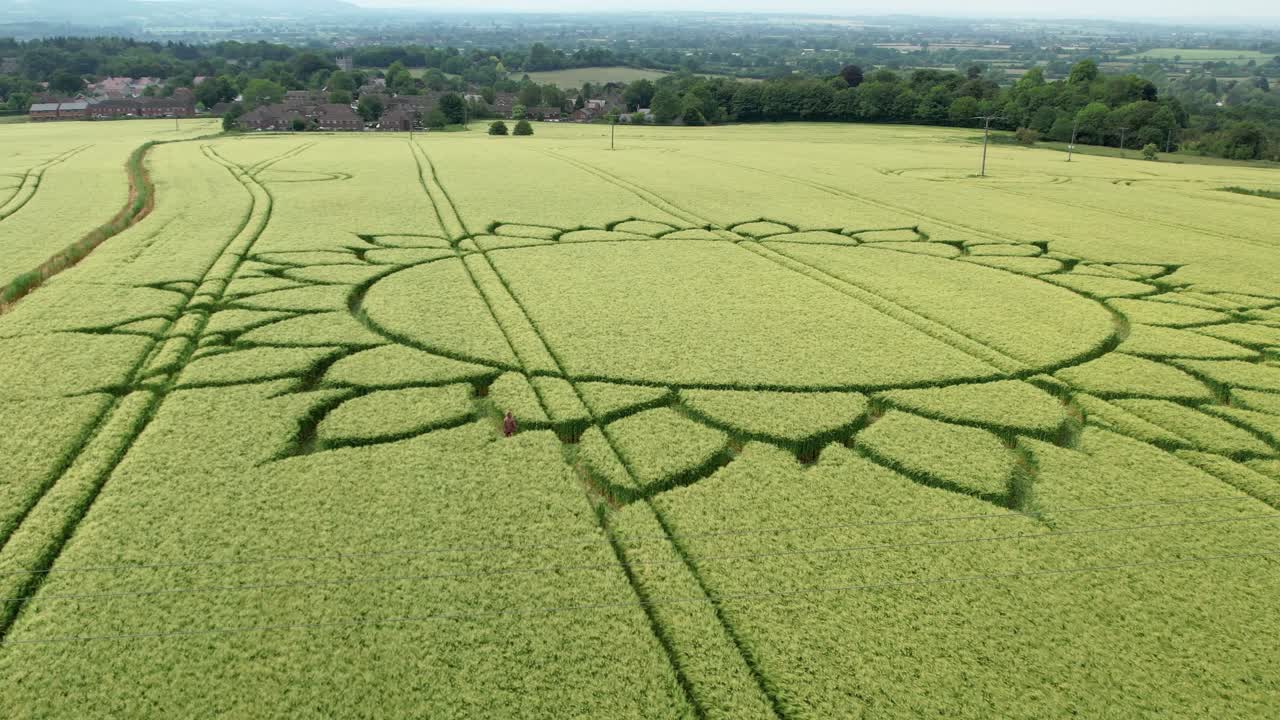 círculo de cultivo en forma de girasol en un campo agrícola en potterne, wiltshire, inglaterra