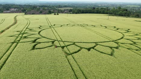 Sunflower-shaped-Crop-Circle-At-Agricultural-Field-In-Potterne,-Wiltshire,-England