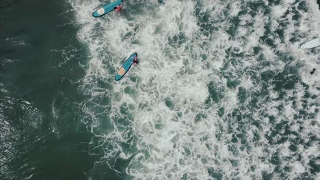 surfer on a stand up paddleboard