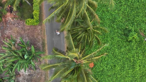 Aerial-view-on-a-man-riding-bicycle-in-Rarotinga,-Cook-islands