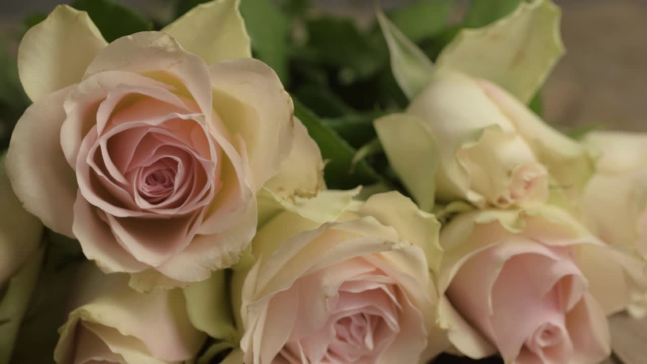 Bouquet of blossoming pink and pastel roses