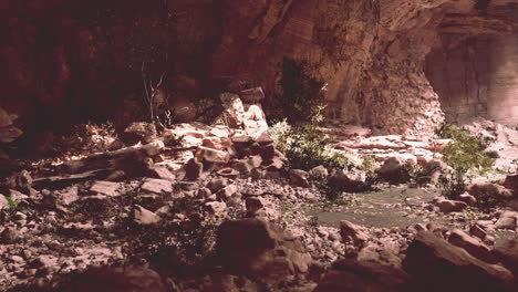 stunning ancient cave in the tropical forest