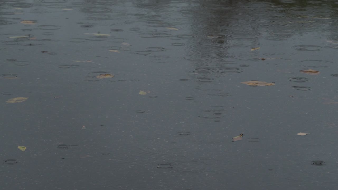 puddle on urban road puddle in autumn rain