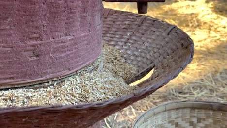 manual rice milling process in rural thailand