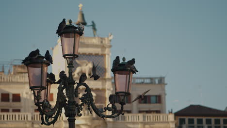 pigeons perched on venetian lampposts
