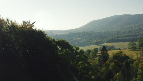 aerial push in - golden morning light over rolling hills, forests and misty valley. drone shot flying close to tree tops revealing a foggy valley