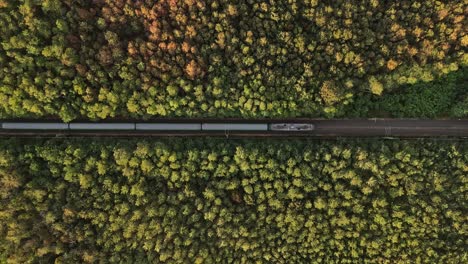 a top-down aerial view of a railway cutting through a dense forest with a moving train