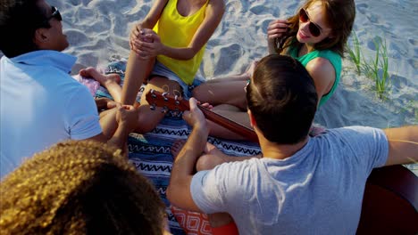 multi ethnic males and females enjoying beach party