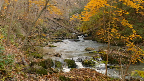 Autumn-fall-season-thriving-at-Madawaska-river-Algonquin-Ontario-park