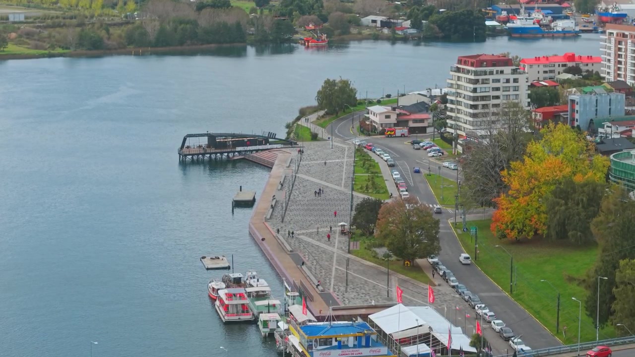 Panoramica aerea del traffico e degli uccelli sul lungomare Costanera di Valdivia, Cile
