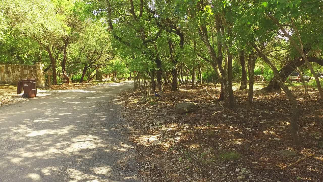 일부 집에서 시골 차선의 회색 숲에서 길을 건너는 공작