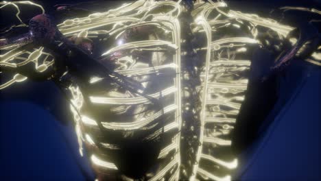 cuerpo humano con vasos sanguíneos brillantes