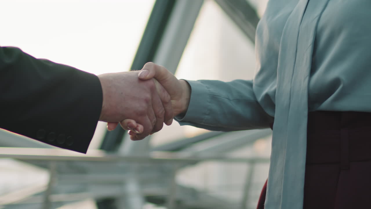 socios de negocios estrechando la mano