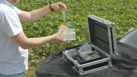 laboratory assistant conducting research on plants in the field