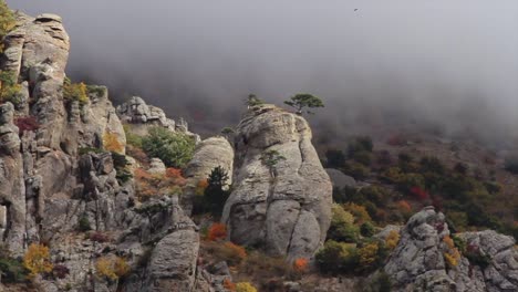 misty mountain peaks with autumn foliage