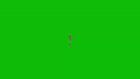 a skeleton 3d character running towards the camera and passing by on green screen 3d animation