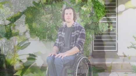 animation of leaves over disabled caucasian man sitting in wheelchair