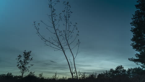 Moody-evening-sunset-with-cloudy-sky-and-tree-in-foreground,-time-lapse-view