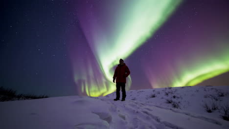 person gazing at aurora borealis in winter landscape