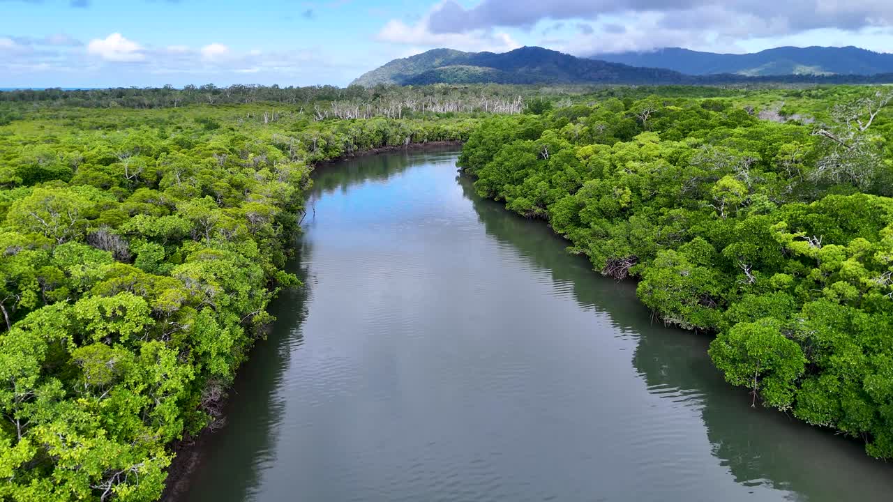 Drone glides above winding rainforest river, vibrant greenery, bright daylight, smooth cinematic movement