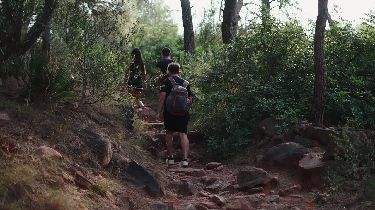 People hiking in the woods