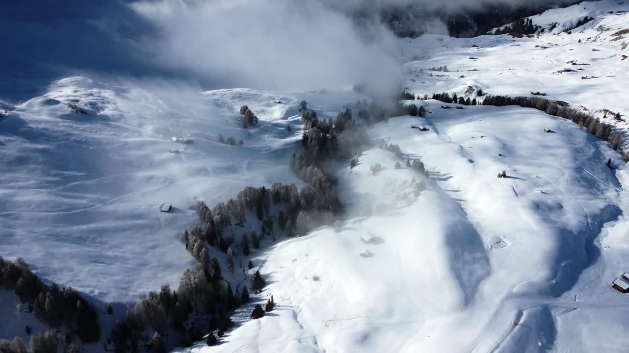 이탈리아 알프스의 높은 고도 지역에 있는 눈 덮힌 소나무 위의 드론 비행