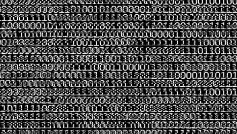 Digital information program code