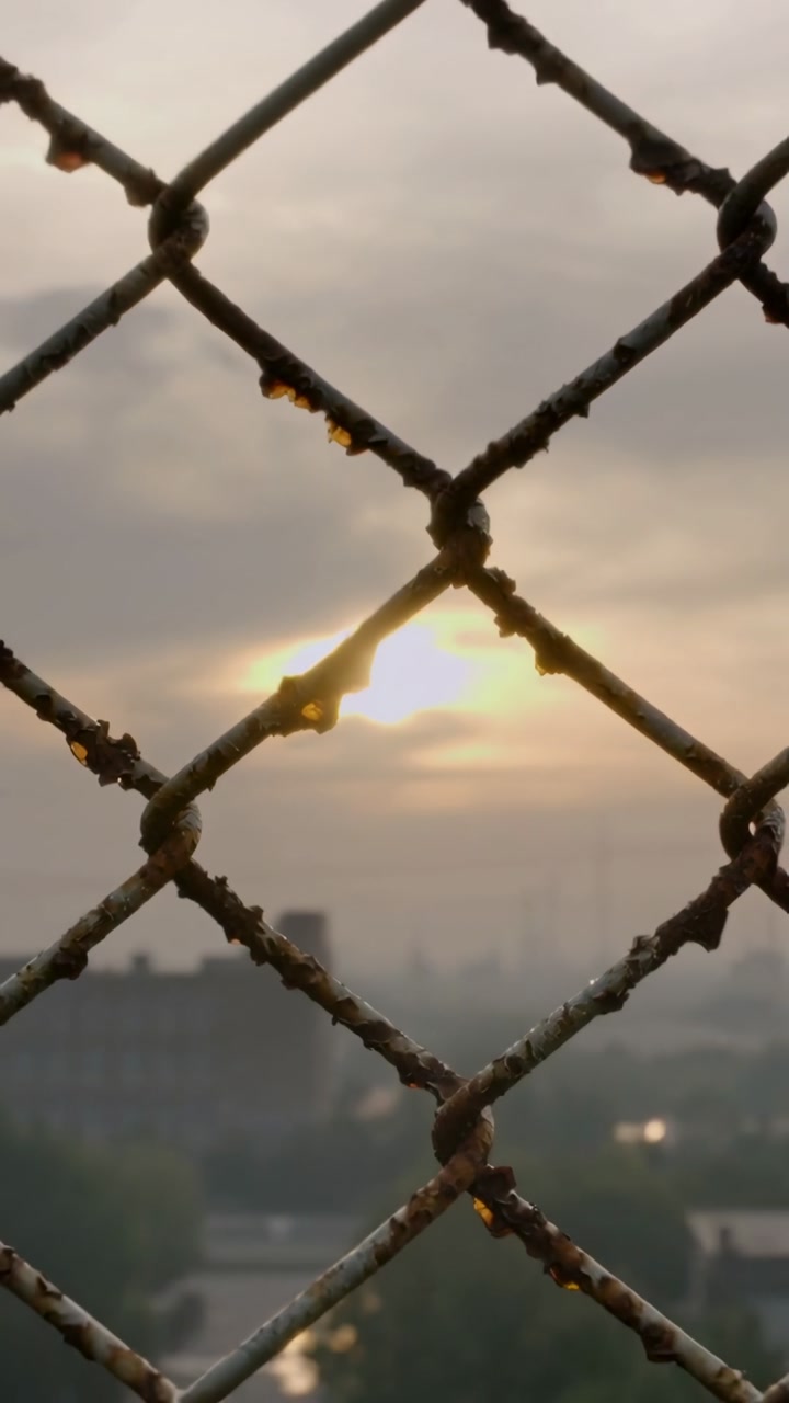Vertical video: Pulling back camera, chainlink fence catching sun revealing amber droplets, skyline