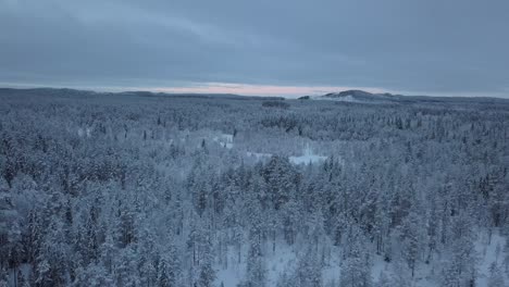 The-frozen-lake-and-forest-near-Borgvattnet,-Sweden