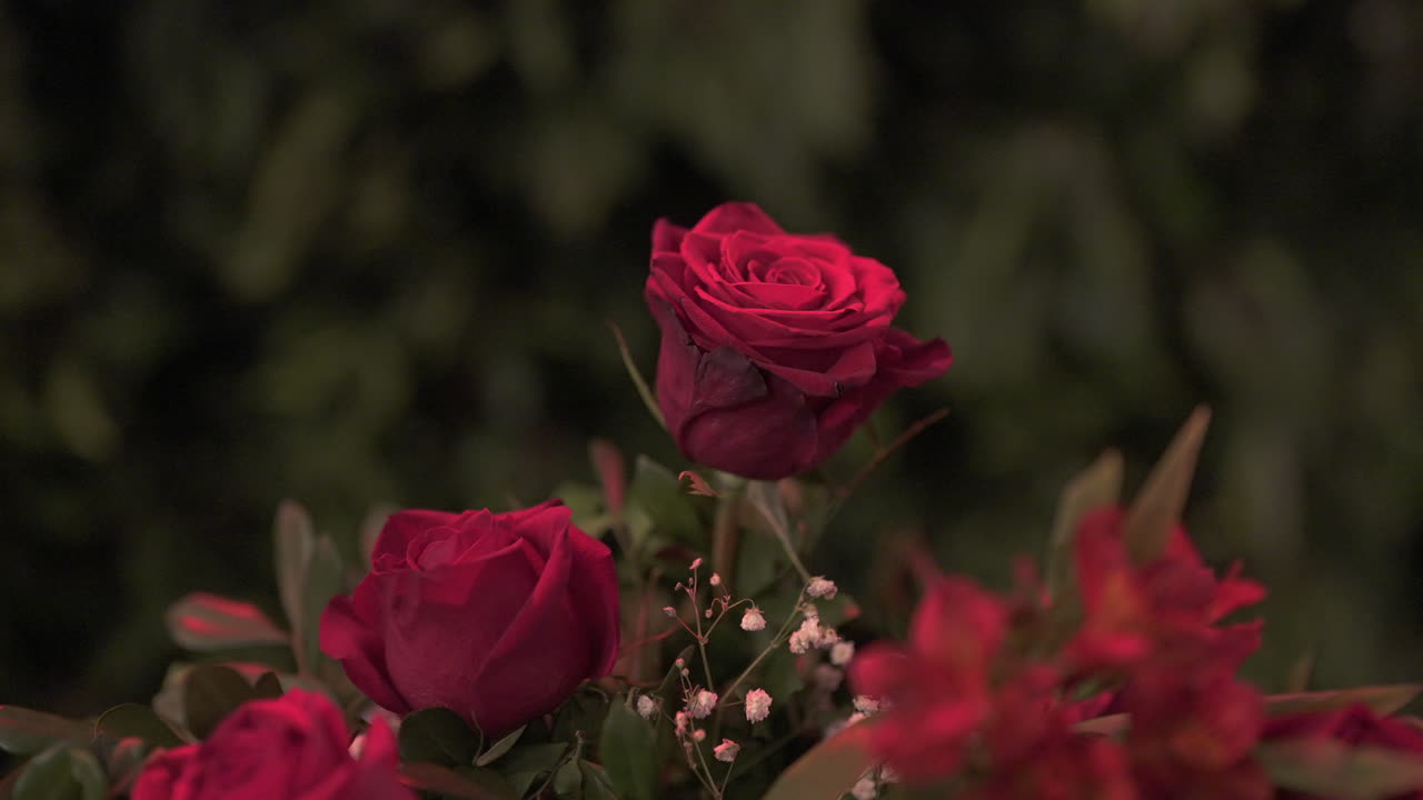 primer plano de la rosa roja en la pieza central