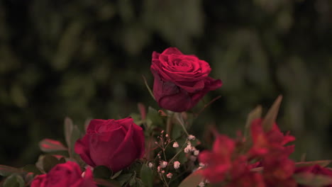 primer plano de la rosa roja en la pieza central