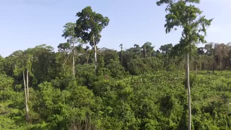 Vista-Aérea-De-Un-Exuberante-Bosque-Verde-En-Kribi,-Camerún,-áfrica-Occidental