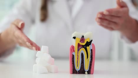 understanding the impact of sugar on dental health