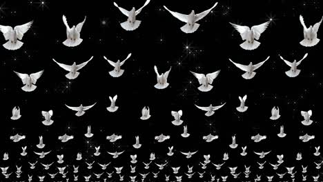 palomas. nubes de palomas blancas voladoras. arte de video para espectáculos y conciertos, clips y música. animación de vuelo de pájaros.