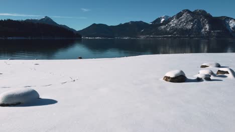 雪覆蓋的海灘在瓦爾肯湖在巴伐利亞,南德國在風景如畫的阿爾卑斯山,靠近奧地利