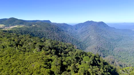 drone camera glides above dense green forest and rolling hills in dorrigo, new south wales, under clear daylight, revealing expansive mountain landscapes