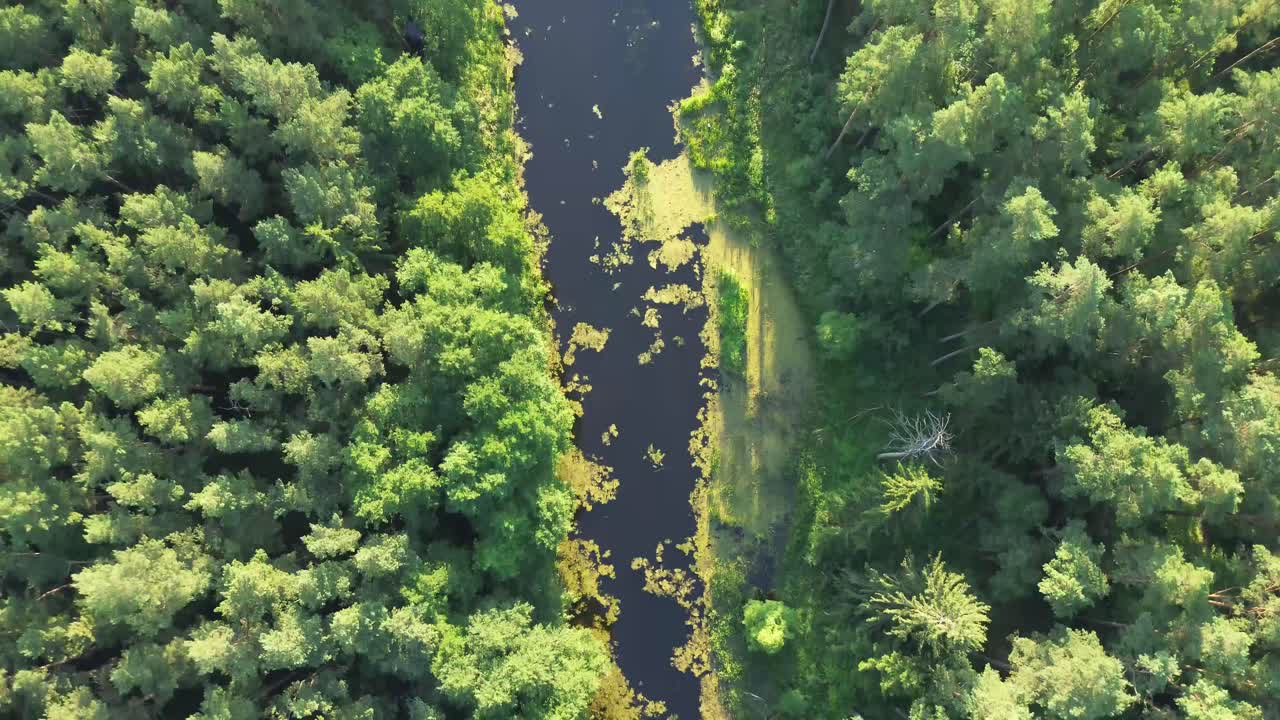 "volar por encima del lago iluminado por el amanecer de europa con un dron, capturando la tranquila laguna, el exuberante bosque y un elegante puente... un hipnotizante pov de pájaros, que ofrece una vista panorámica desde el cielo