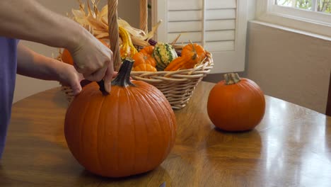 toma estática de una mujer cortando la parte superior de una calabaza en una mesa de comedor con luz natural desde un lado